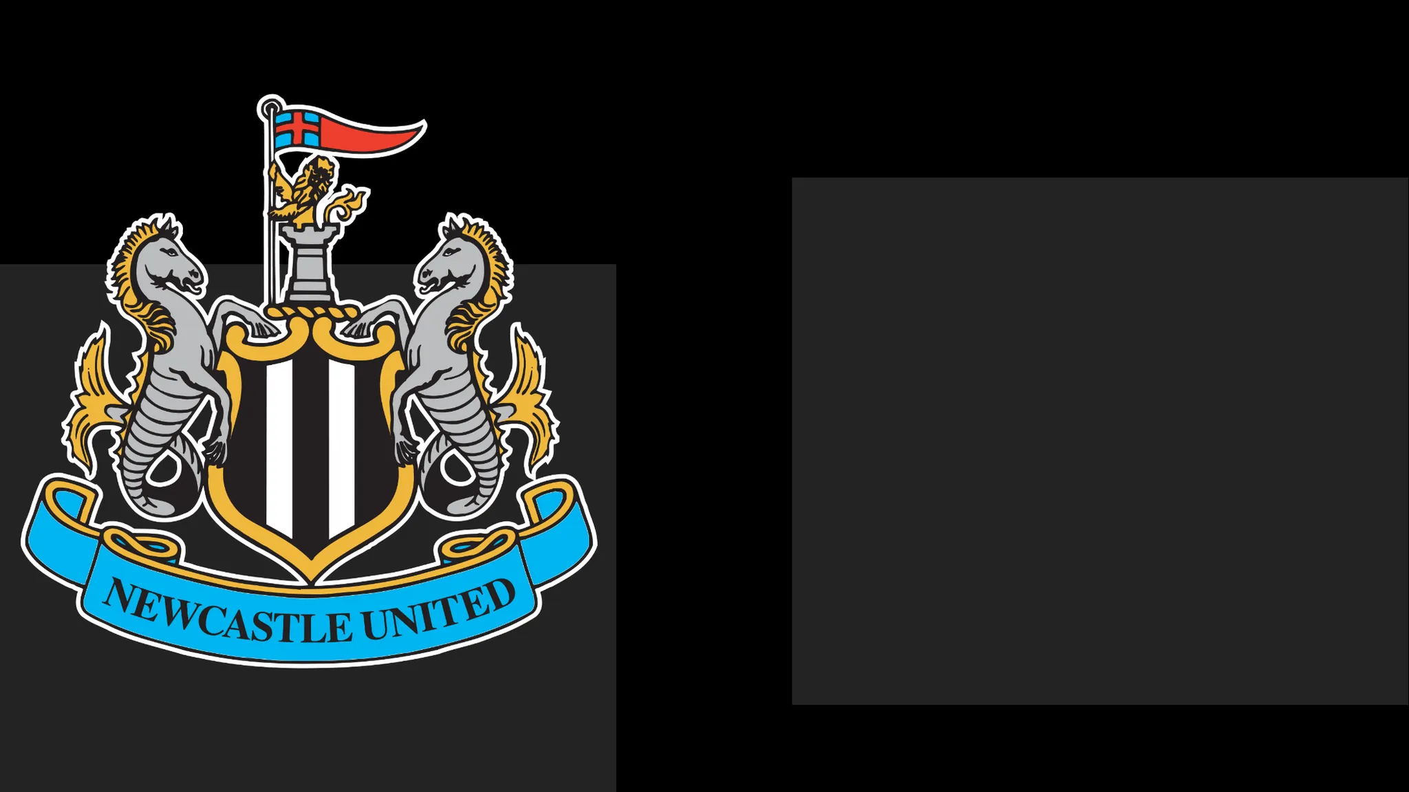 Newcastle's boss Commends Team's Determination – However That Only Carries Them To a Point