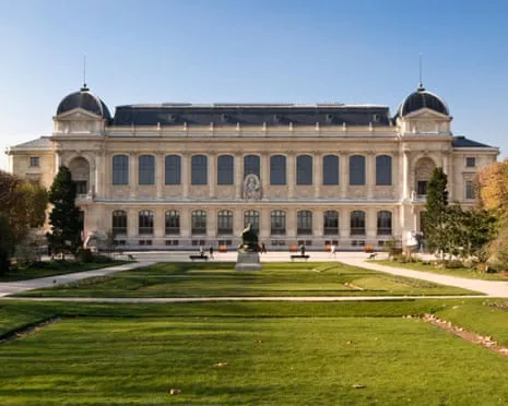 Priceless Gold Pieces Stolen in Audacious Raid at French Natural History Museum
